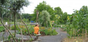 A youth at the community garden