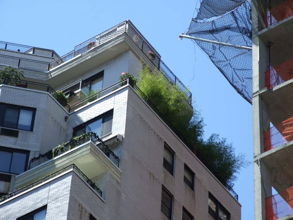Plantas de balcón en un edificio alto