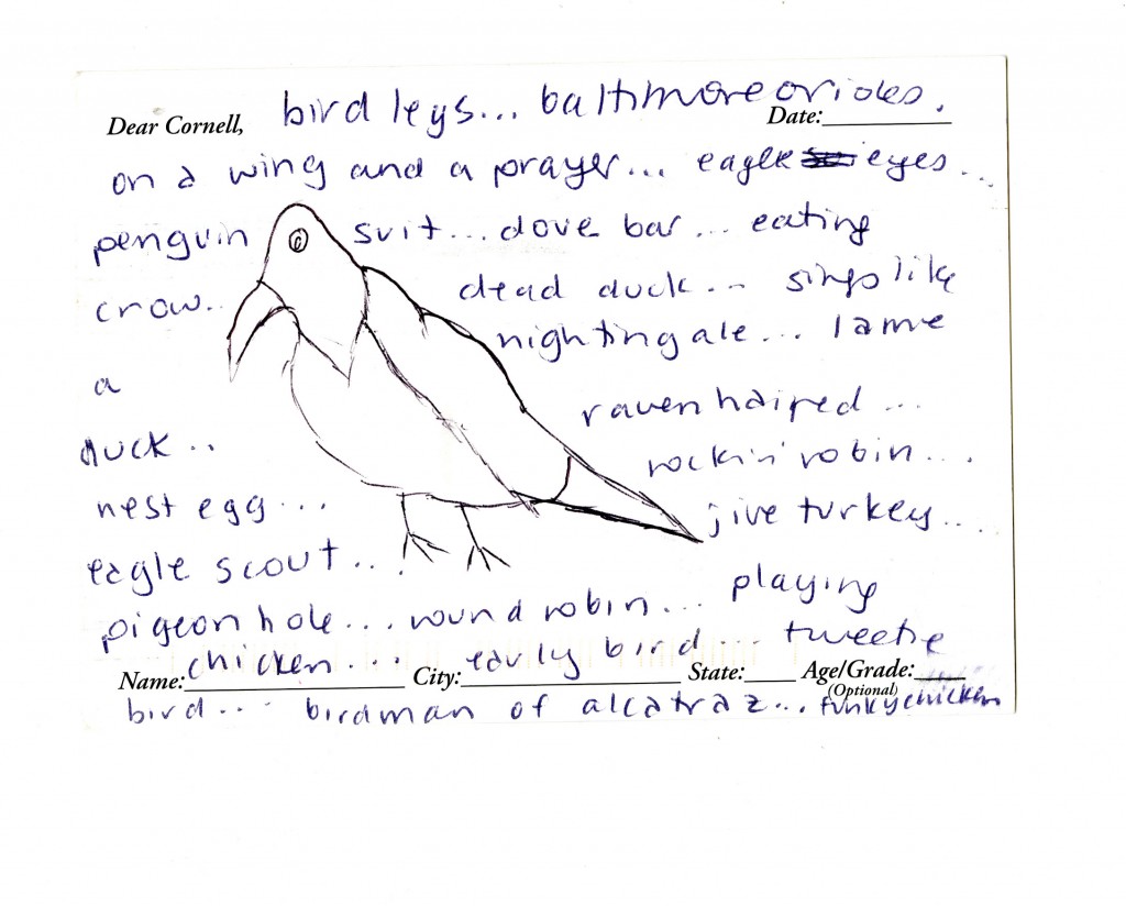 Miriam's Kitchen letter with bird sayings