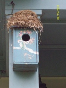 Photo of a nest outside on a porch.