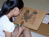 Student cutting out drawing on bird on cardboard