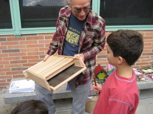 teaching participants about bats
