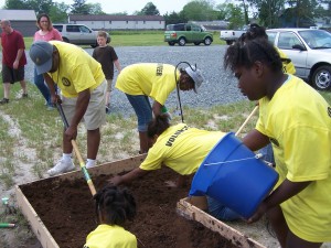 participants preparing the soil
